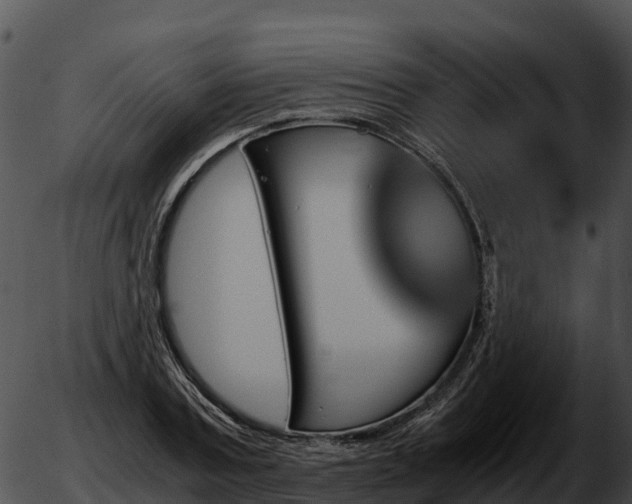 X0000051880787200507020029