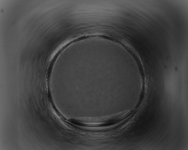 X0000051880789200507020029
