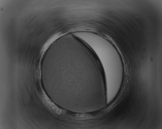 X0000051880795200507020029