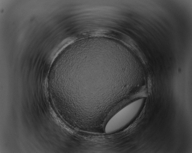 X0000051880798200507020029