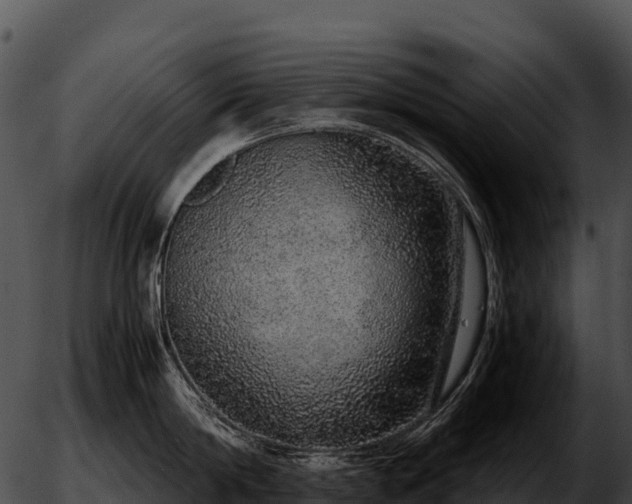 X0000051880814200507020029