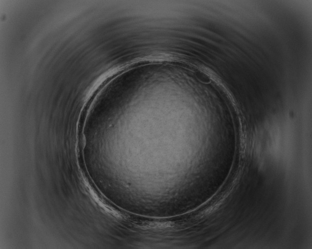 X0000051880845200507020029