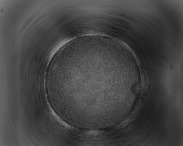 X0000051880847200507020029