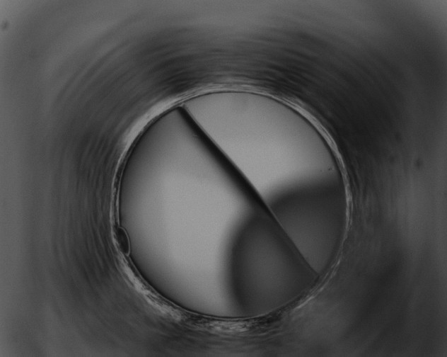 X0000051880861200507020029