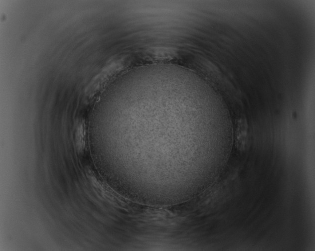 X0000051880866200507020028