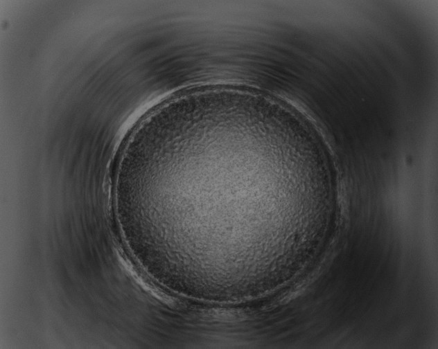 X0000051880933200507020027