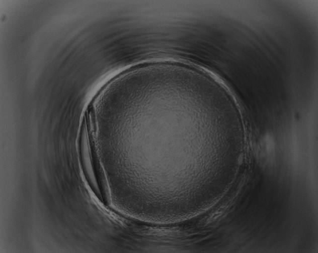 X0000051880951200507020027