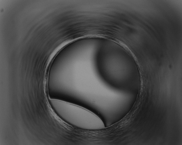 X0000051880955200507020027