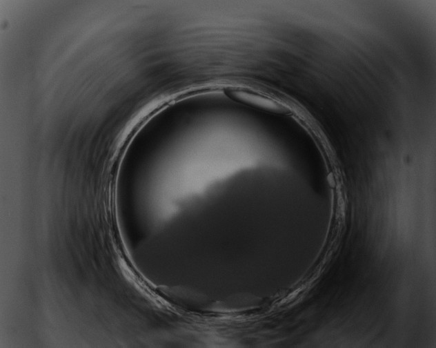 X0000051880958200507020027