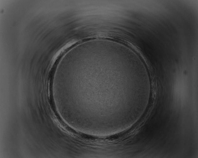 X0000051880987200507020026