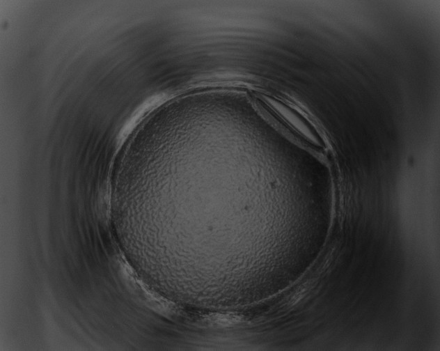 X0000051880994200507020026