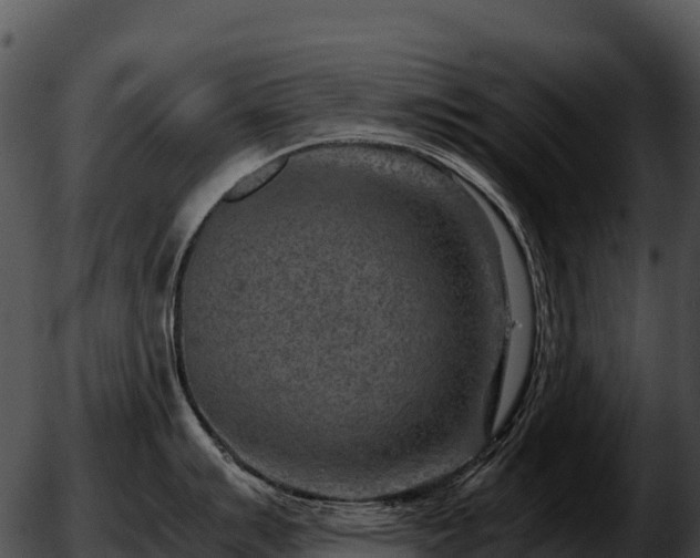 X0000051881007200507020026