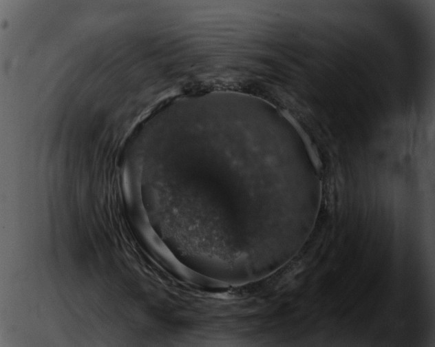 X0000051881010200507020025