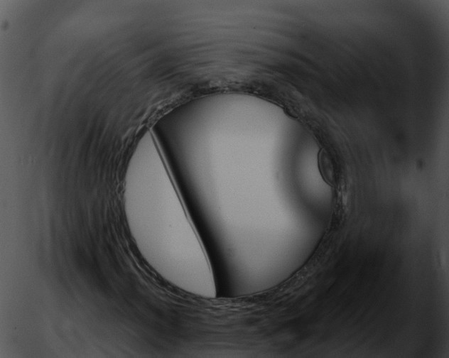 X0000051881012200507020025