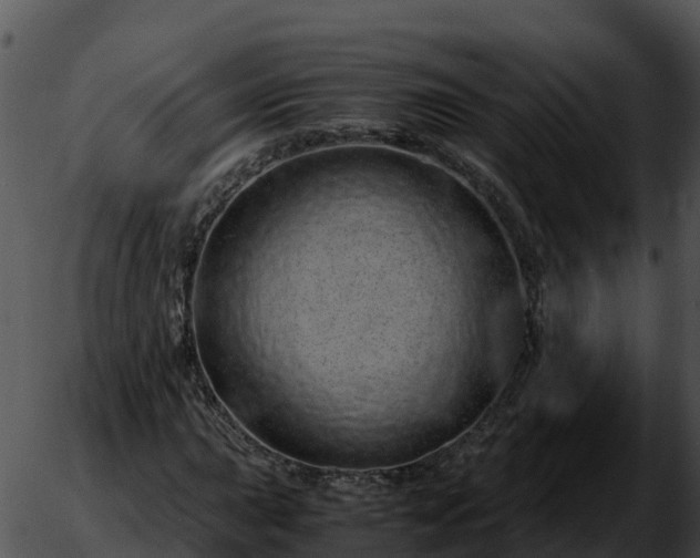 X0000051881015200507020025