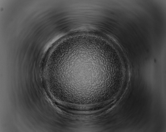 X0000051881018200507020025