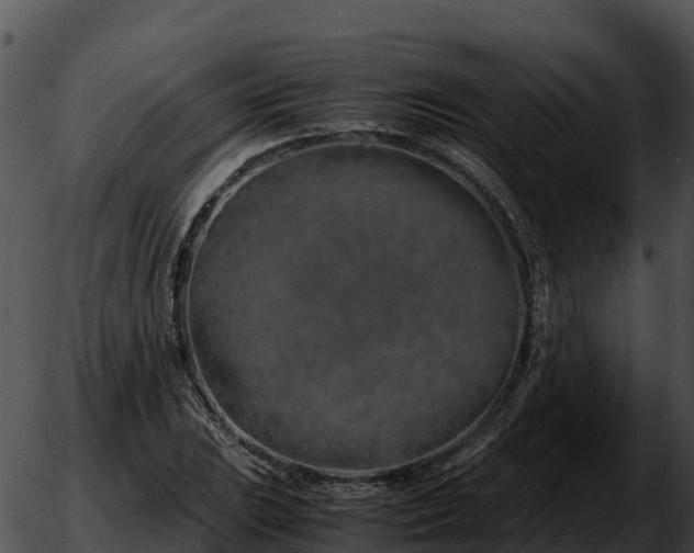 X0000051881023200507020025
