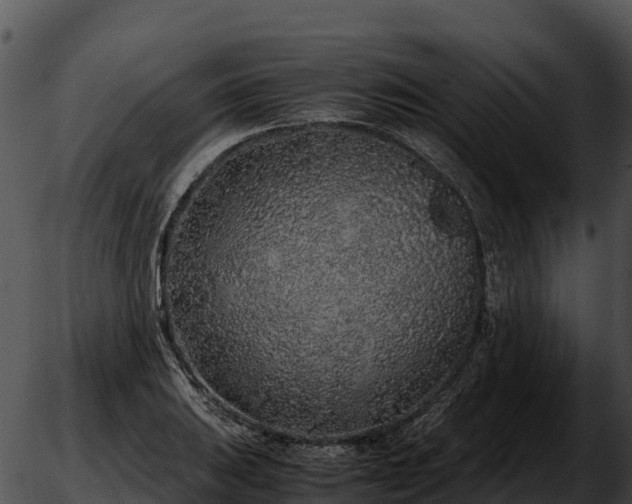 X0000051881031200507020025
