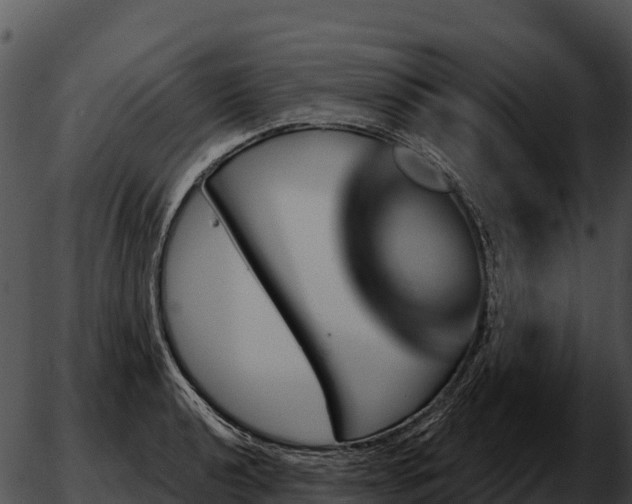X0000051881040200507020026