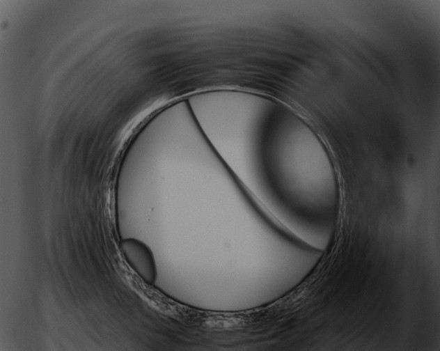X0000051881051200507020026
