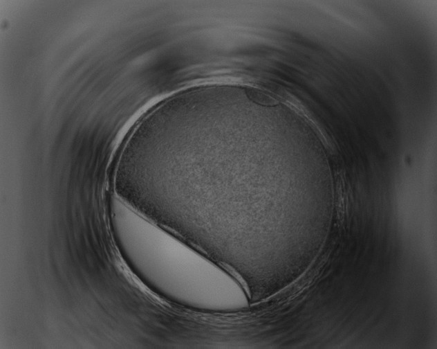 X0000051881092200507020024