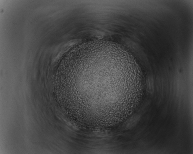 X0000051881105200507020023