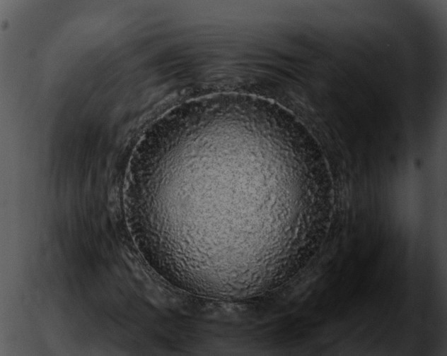 X0000051881109200507020024