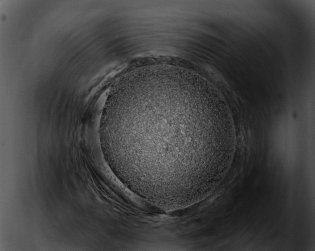 X0000051881110200507020024