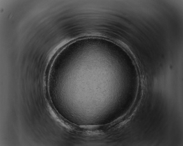 X0000051881133200507020024