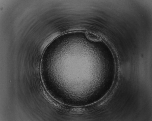 X0000051881137200507020024