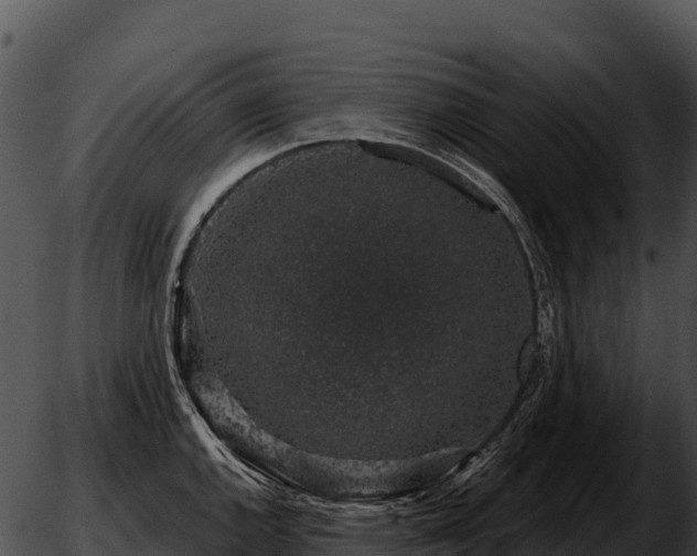 X0000051881144200507020024