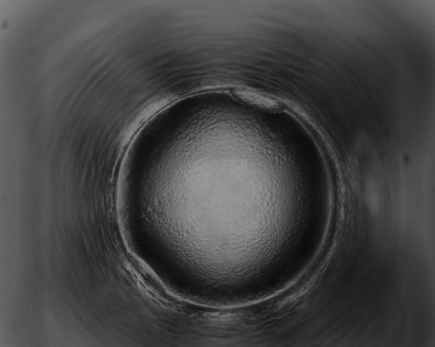 X0000051881145200507020024