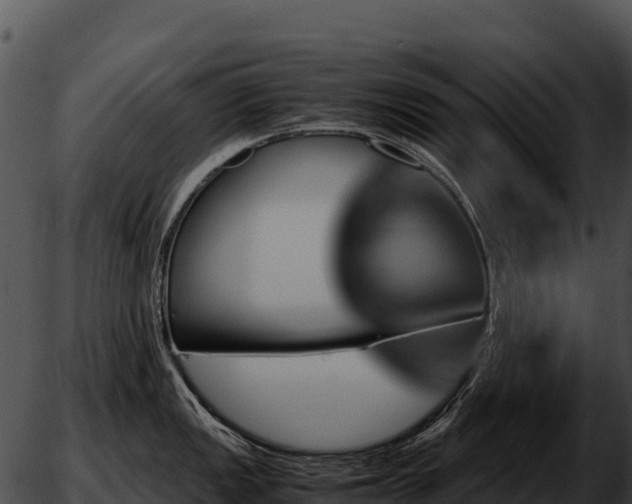 X0000051881149200507020024