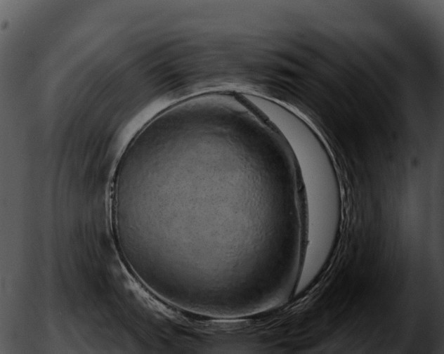 X0000051881151200507020024