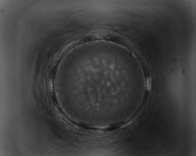 X0000051881155200507020023