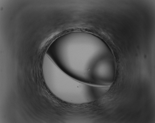 X0000051881159200507020023