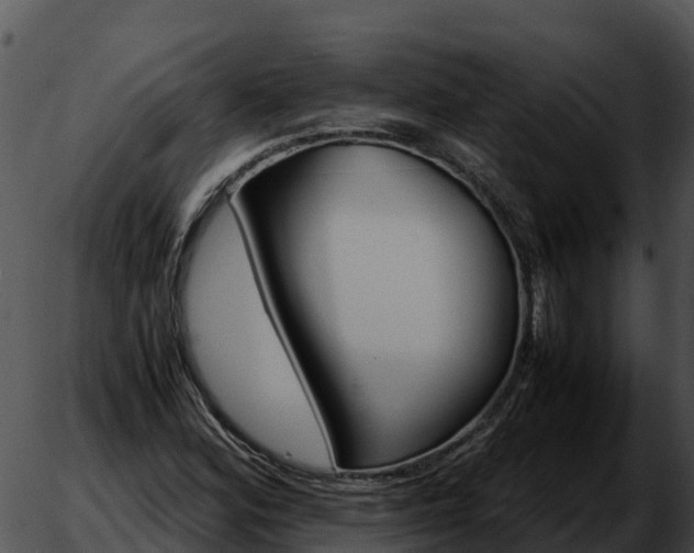 X0000051881164200507020023