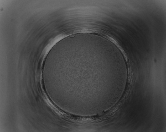 X0000051881187200507020023