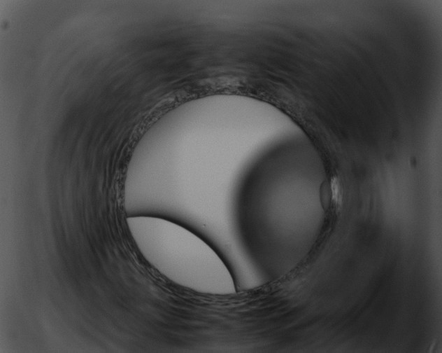 X0000051881203200507020022