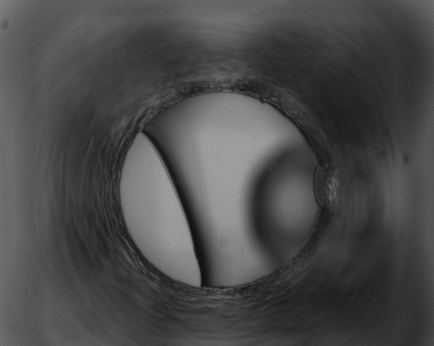 X0000051881204200507020022