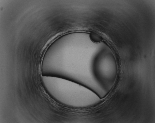 X0000051881220200507020022