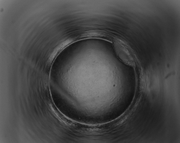 X0000051881233200507020022
