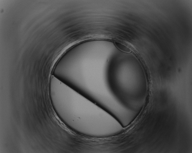 X0000051881236200507020022