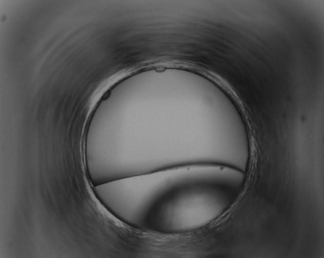 X0000051881247200507020023