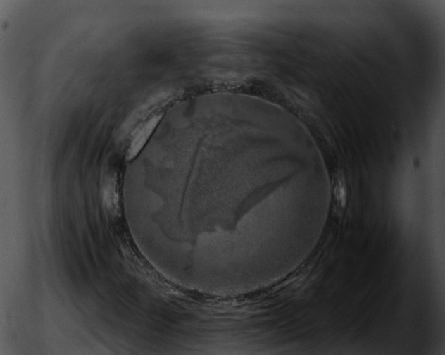 X0000051881252200507020022
