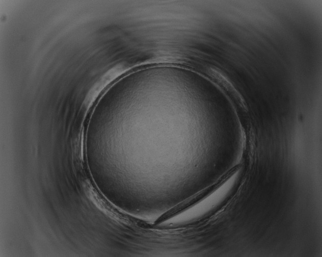 X0000051881276200507020021