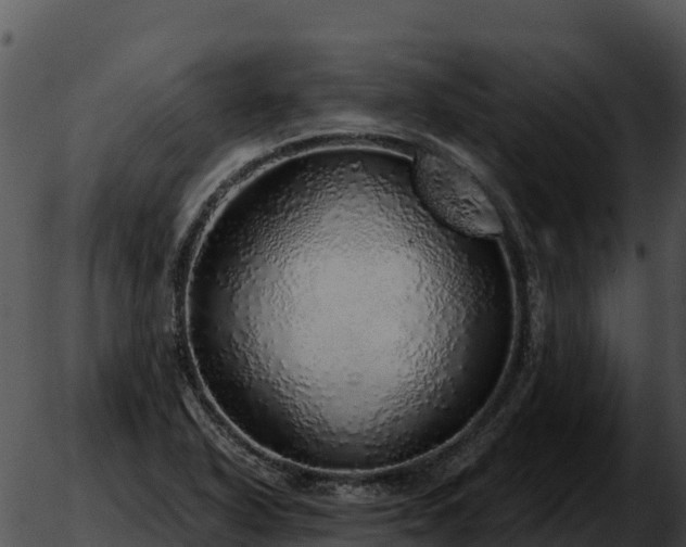 X0000051881318200507020021