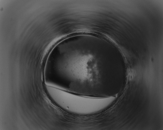 X0000051881323200507020021