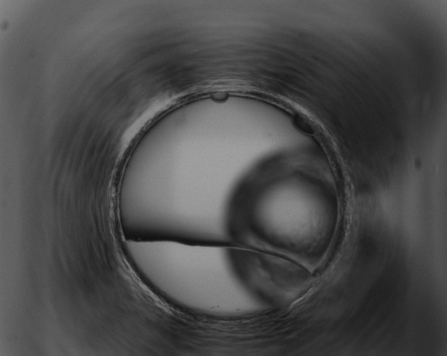 X0000051881325200507020021