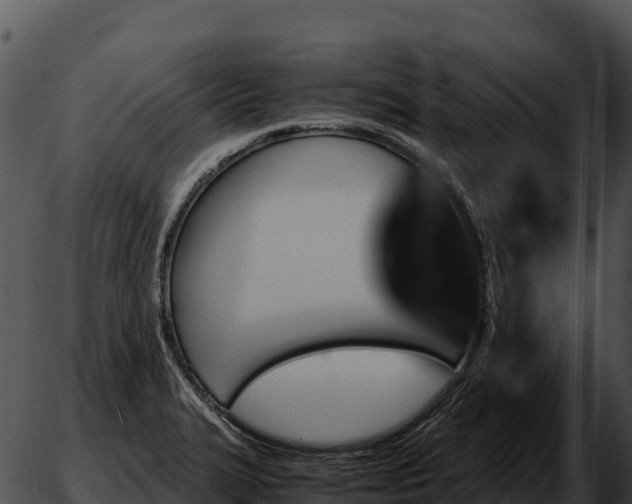 X0000051881327200507020021
